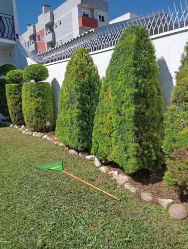 Jardinagem FC cuida do seu jardim com carinho