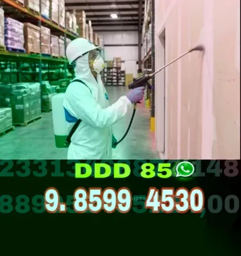 Dedetização Profissional com Atendimento Rápido