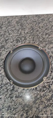 SUBWOOFER AIWA 9 POLEGADAS 
