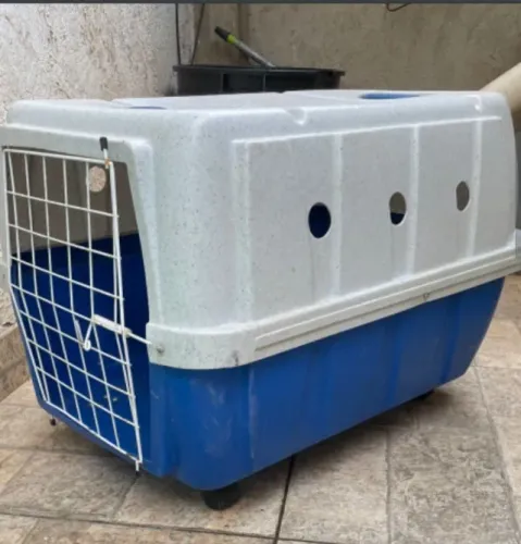 Casinha de cachorro