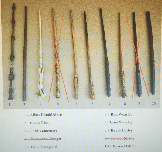 Varinhas da saga Harry Potter