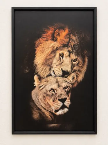 Quadro decorativo de leão e leoa