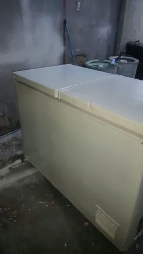 Freezer 2 tampa original somente pintado