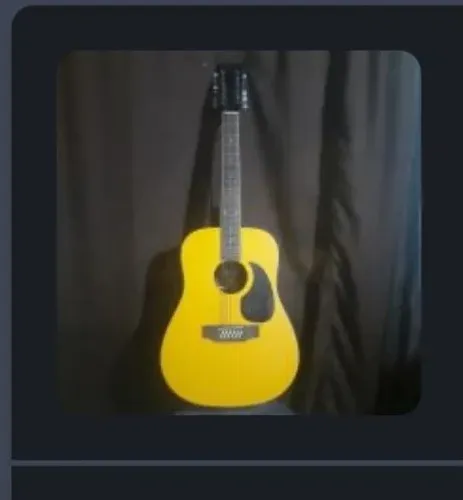 Violao duplo 