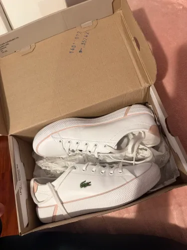 Tenis Lacoste 