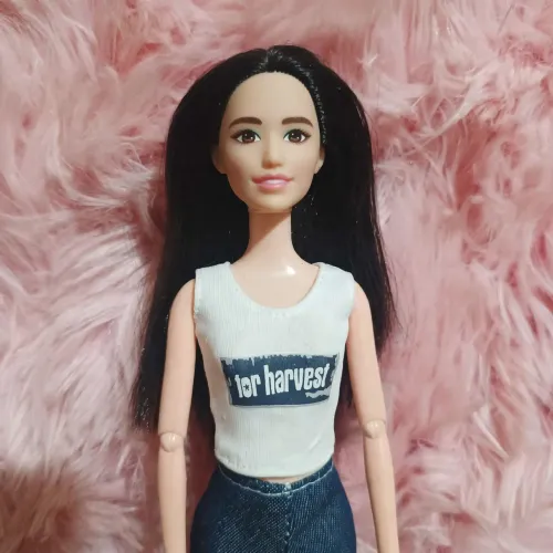 Barbie Mattel 2020 articulada 28cm