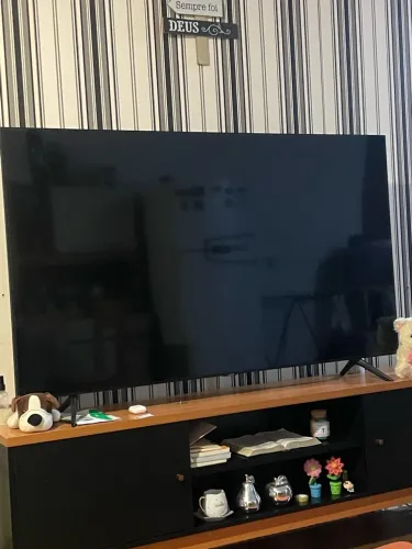 Tv 65