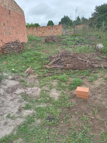 Terreno no Distrito de Humildes