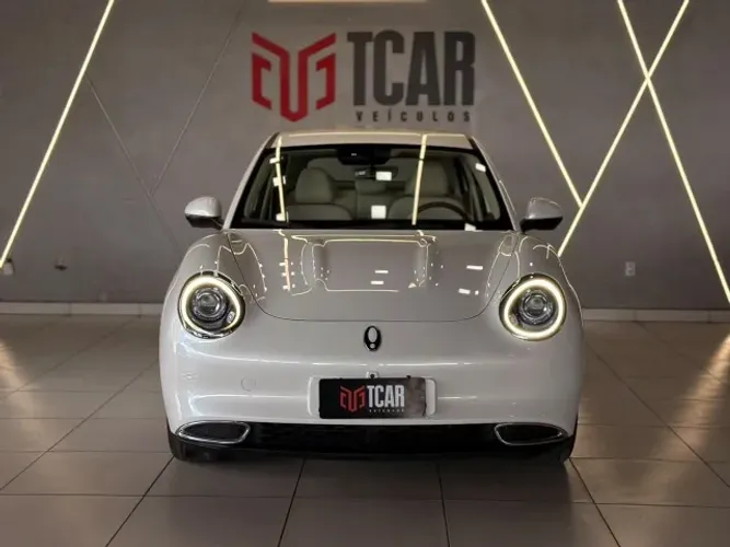 GWM Ora 03 Skin (elétrico) 2024