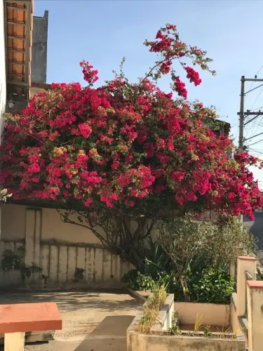 Ótima Oportunidade - Casa a Venda Perus