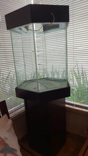 Aquario com suporte madeira