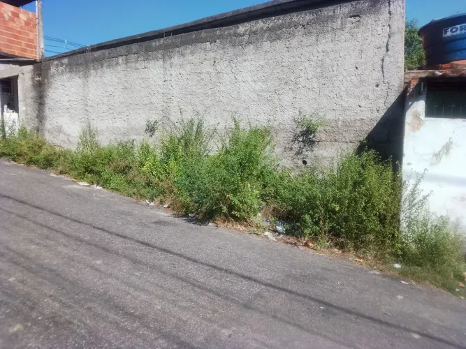 Limpeza quintal