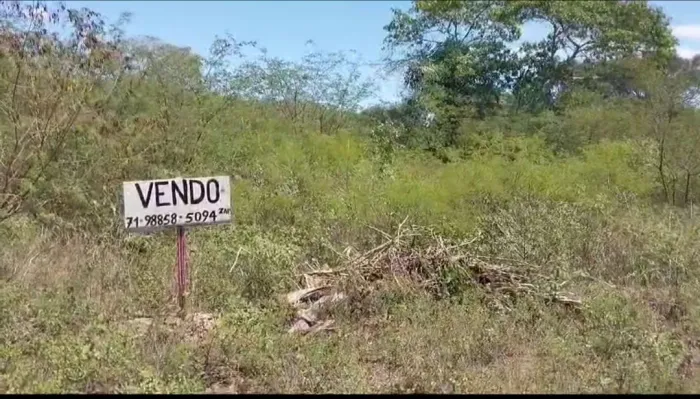 Terreno em Serrinha Bahia 