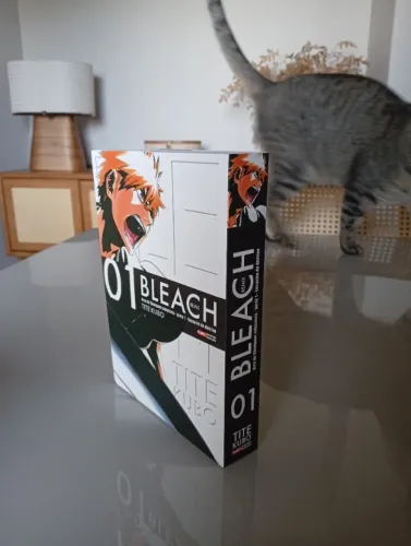 Mangá Bleach Remix volume 1