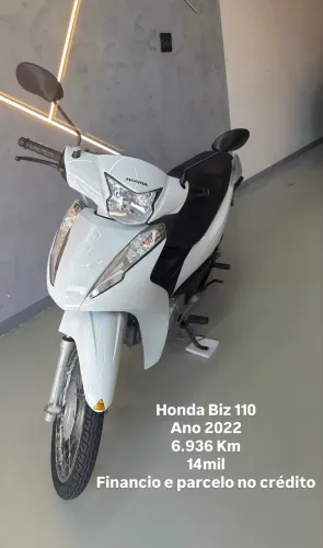 BIZ 110