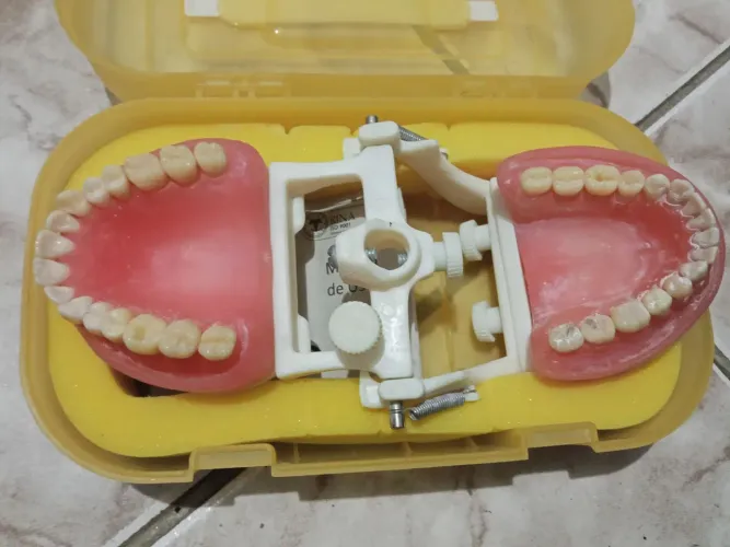 Manequim Pronew junto com a troca de dentes