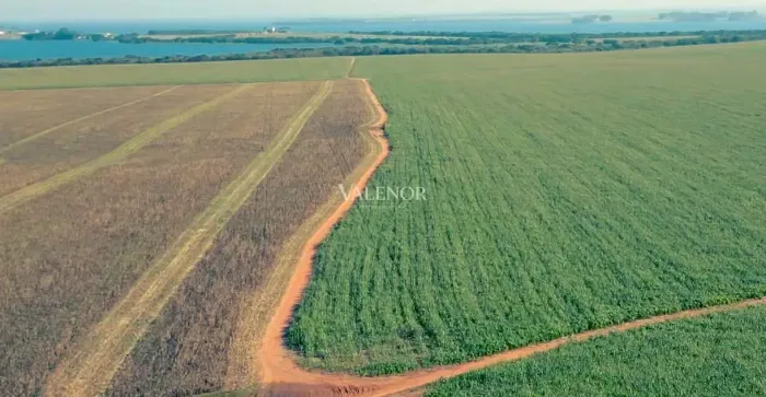 Fazenda produtiva na região de Londrina - PR com 692 hectares, beira da represa.