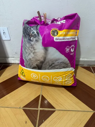 Ração p gato