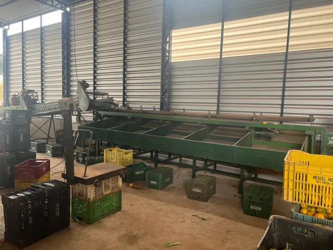 Máquina para beneficiar frutas
