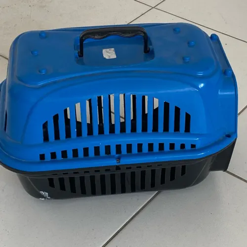 Caixinha transporte gato/cachorro 