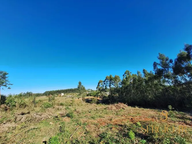 Área de terra com 2ha a 1,3km do asfalto em Triunfo - Aceito veículo ou caminhonete