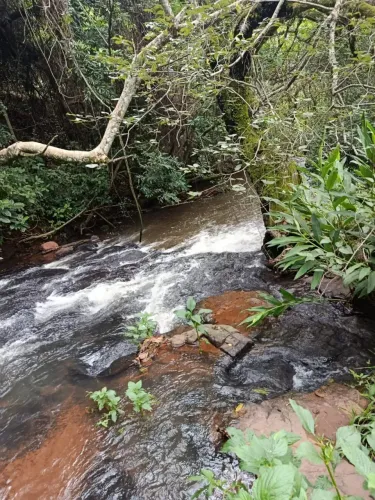 sitio em cajuru 6 alqueires 1.500.000.00 ( d )