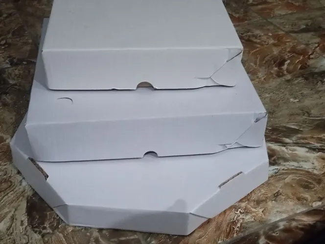 Vendo embalagem para esfiha e pizza . esfiha M.170 esfiha G.180 oitavada 35 .180