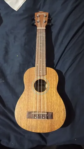 Ukulele usado