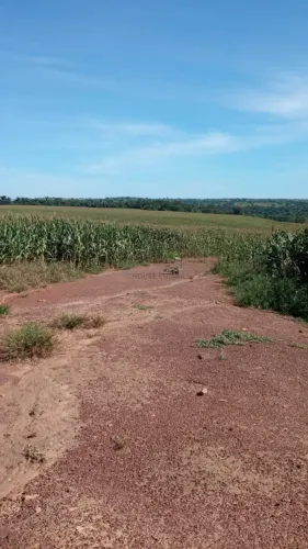 Fazenda de 320 hectares no município da cidade de Juscimeira no estado do Mato g