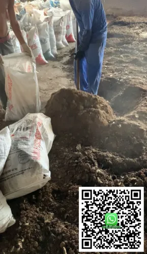 ADUBO ORGÂNICO DIRETO DA GRANJA (CAMA DE FRANGO) TONELADA