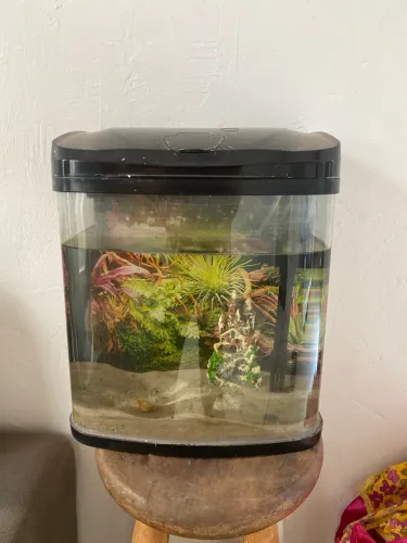 Vendo aquário