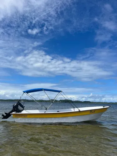 Barco Panga com motor Mercury 30HP