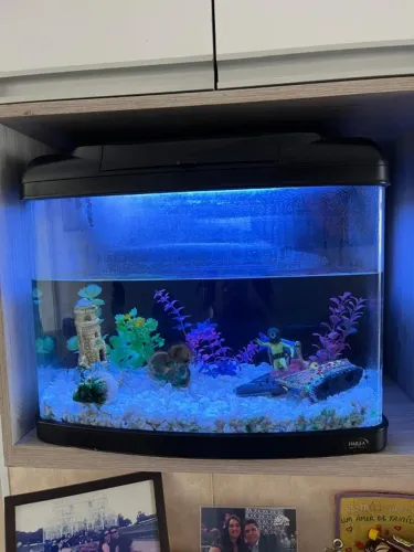 Vende Aquário Decorado