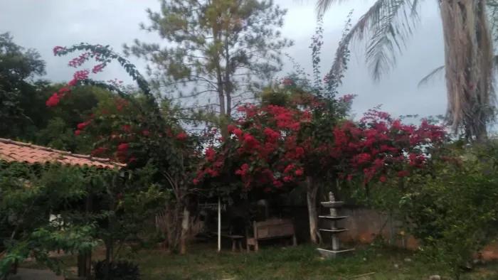 Vendo ou troco sitio