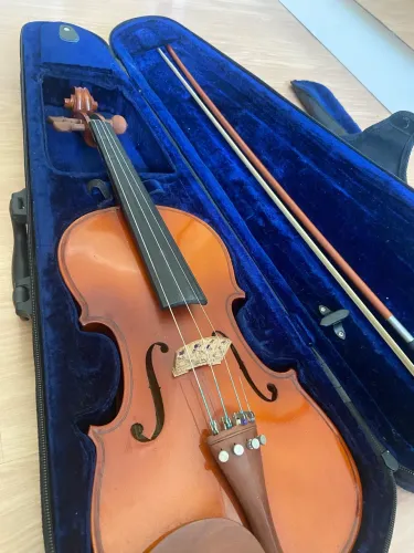 Violino Eagle Ve 441