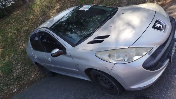 Peugeot 207 Sedan Passion XR 1.4 Flex 8V 4P 2010