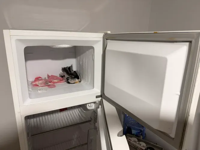 Geladeira 260L Electrolux