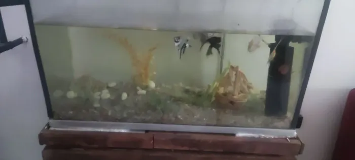 Vendo aquário 