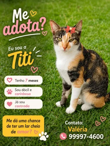 Princesas TRICOLOR e FRAJOLA