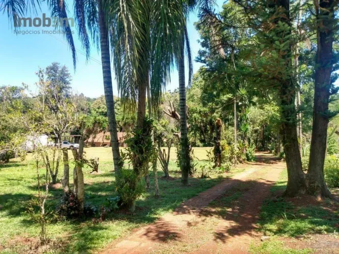 Chácara com 2 dormitórios à venda, 4000 m² por R$ 980.000,00 - Patrimônio Regina - Londrin