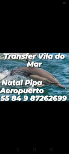 Transfer de turistas do Aeroporto a te as praias