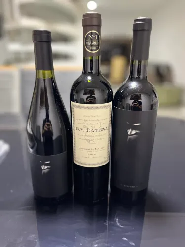 Vinhos argentinos - Alma Negra e DV Catena