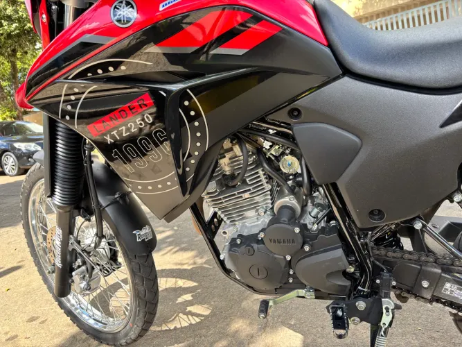 Vendo lander 2024