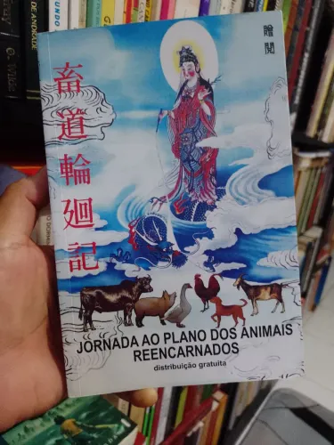 Jornada ao Plano dos Animais Reencarnados