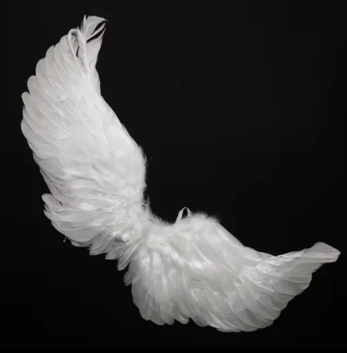 Fantasia Asa de Anjo