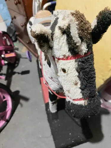 Cavalinho