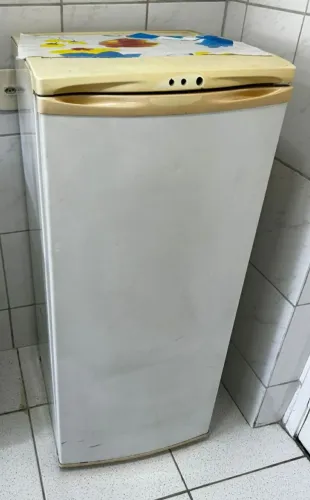 Freezer Vertical Electrolux