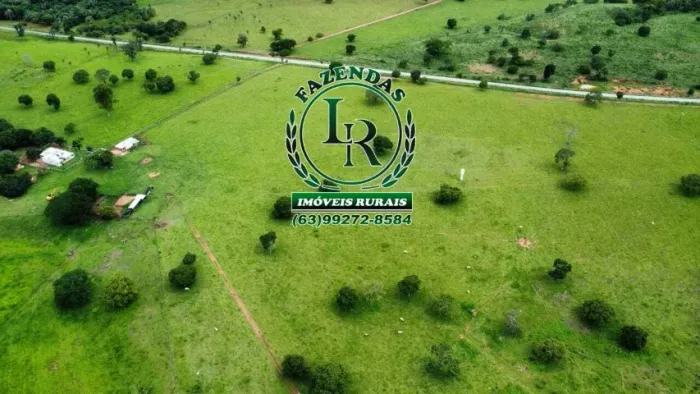 Fazenda Pecuária  200 Alqueires beira do Asfalto  no Sul do Tocantins