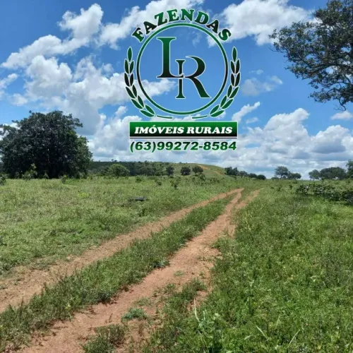 Fazenda 104 Alqueires Beirada Asfalto