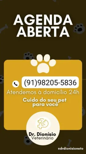 Veterinário em domicílio 24h